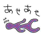 844155561