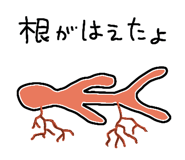 844155566
