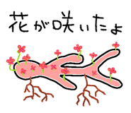 844155568