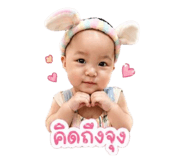 844156315
