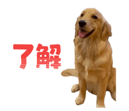 844159685