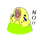 844160024