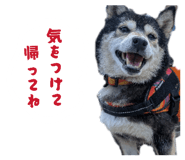 844160033