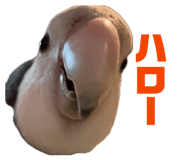 844160578