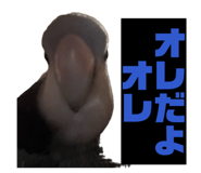 844160580