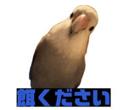 844160582
