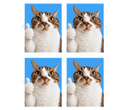 844160876