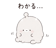 844161677