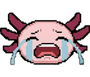 844161938