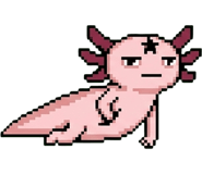 844161955