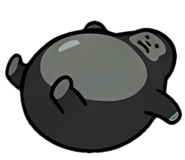 844162354