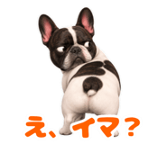 844163219