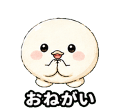 844163564