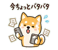 844168335
