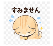 844168453