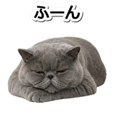 844168666