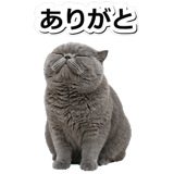 844168702