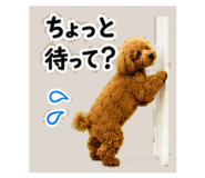 844168984