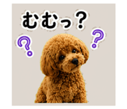 844168986