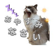 844171376