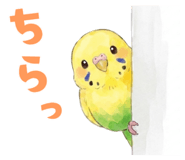 844171598
