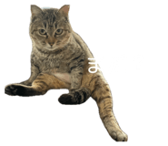 844172220