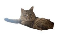 844172221