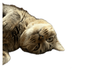 844172224