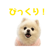 844172397