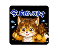844172527