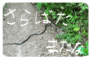 844172625