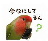 844173151