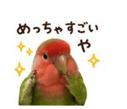 844173155
