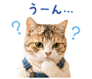 844173333