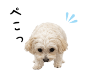 844173962