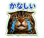 844175372
