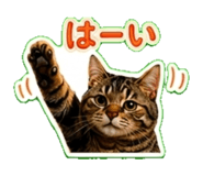 844175379