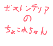 844176272