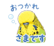 844176814