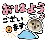 844179467