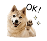 844180948