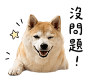 844180960