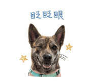 844181098