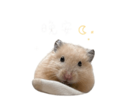844181564