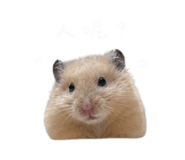 844181568