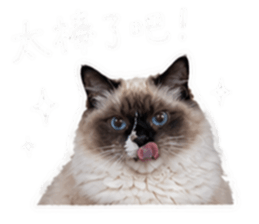 844181663