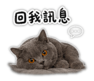 844181698