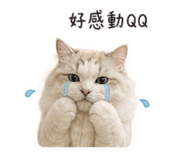 844182019