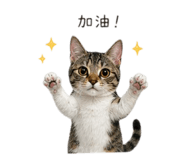844182334
