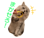 844182674